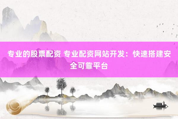 专业的股票配资 专业配资网站开发：快速搭建安全可靠平台