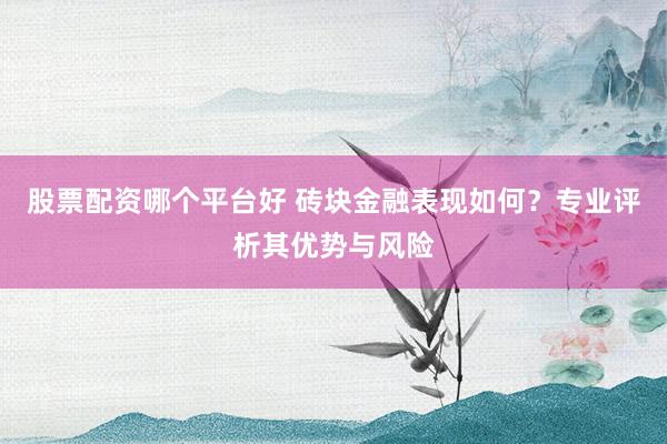 股票配资哪个平台好 砖块金融表现如何？专业评析其优势与风险