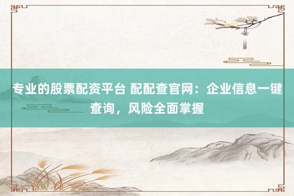 专业的股票配资平台 配配查官网：企业信息一键查询，风险全面掌握