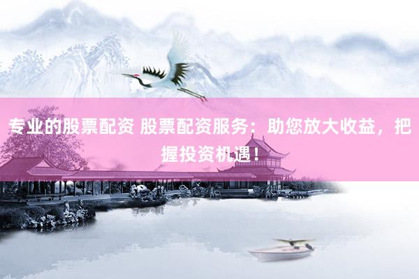 专业的股票配资 股票配资服务：助您放大收益，把握投资机遇！