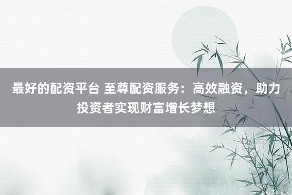 最好的配资平台 至尊配资服务：高效融资，助力投资者实现财富增长梦想