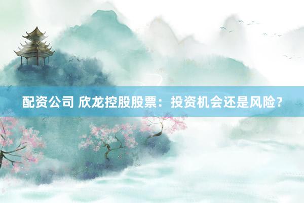 配资公司 欣龙控股股票：投资机会还是风险？