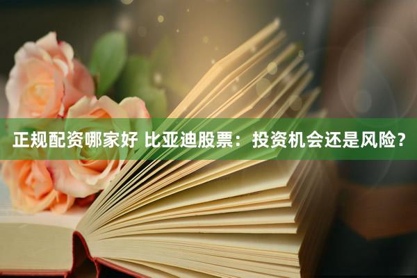 正规配资哪家好 比亚迪股票：投资机会还是风险？