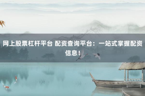 网上股票杠杆平台 配资查询平台：一站式掌握配资信息！