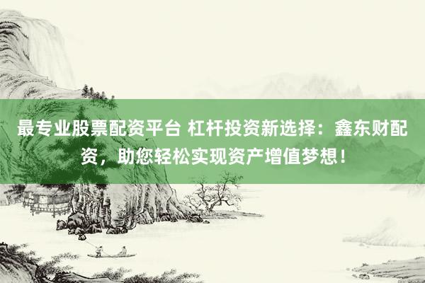 最专业股票配资平台 杠杆投资新选择：鑫东财配资，助您轻松实现资产增值梦想！