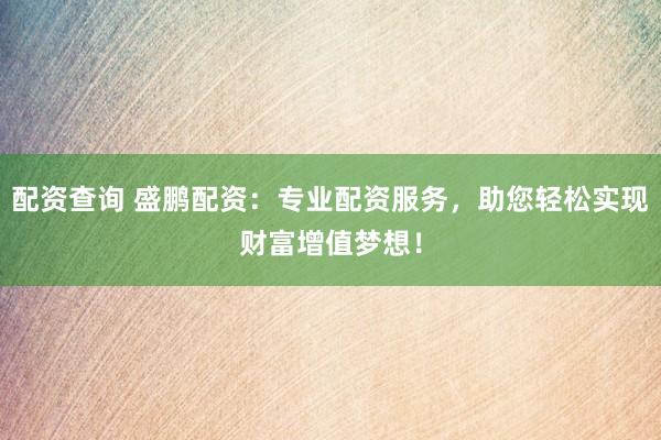 配资查询 盛鹏配资：专业配资服务，助您轻松实现财富增值梦想！