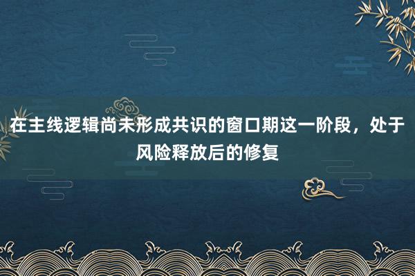 在主线逻辑尚未形成共识的窗口期这一阶段，处于风险释放后的修复
