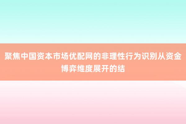 聚焦中国资本市场优配网的非理性行为识别从资金博弈维度展开的结