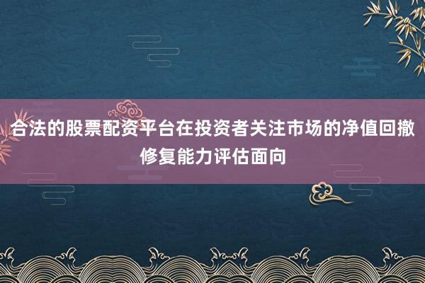 合法的股票配资平台在投资者关注市场的净值回撤修复能力评估面向