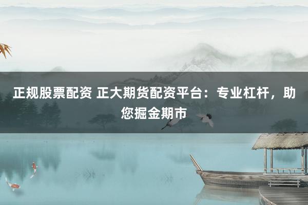 正规股票配资 正大期货配资平台：专业杠杆，助您掘金期市