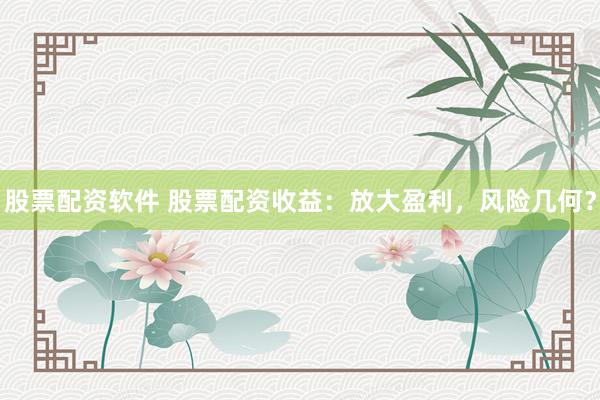 股票配资软件 股票配资收益：放大盈利，风险几何？
